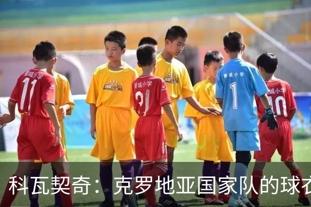 科瓦契奇：克罗地亚国家队的球衣，对我们而言是神圣的